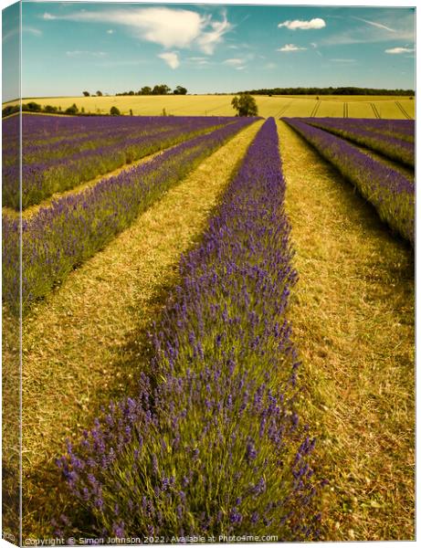 Lavender firld Canvas Print by Simon Johnson