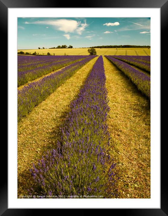 Lavender firld Framed Mounted Print by Simon Johnson