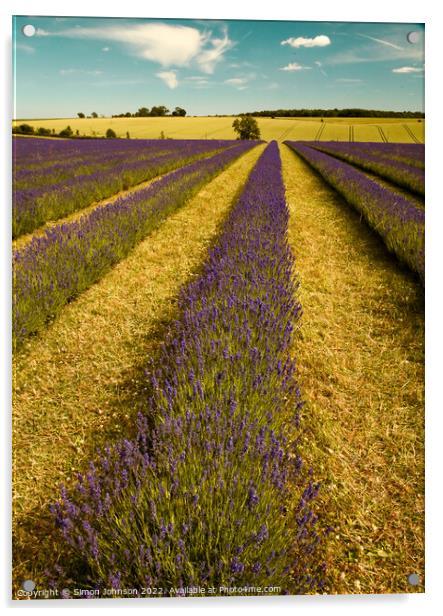 Lavender firld Acrylic by Simon Johnson