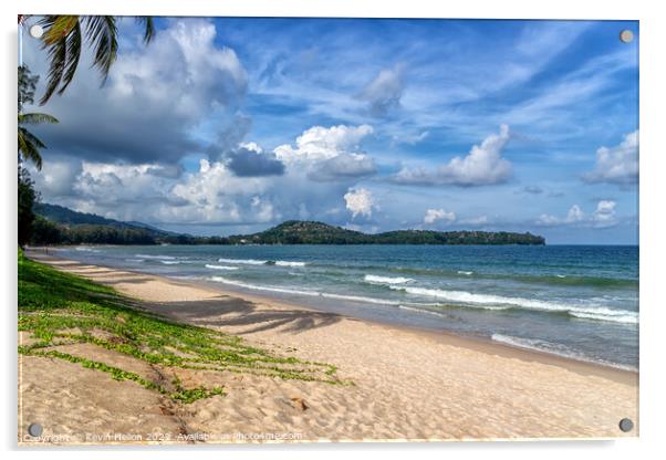 Bang Tao beach, Phuket, Thailand, on a beautiful, sunny day Acrylic by Kevin Hellon
