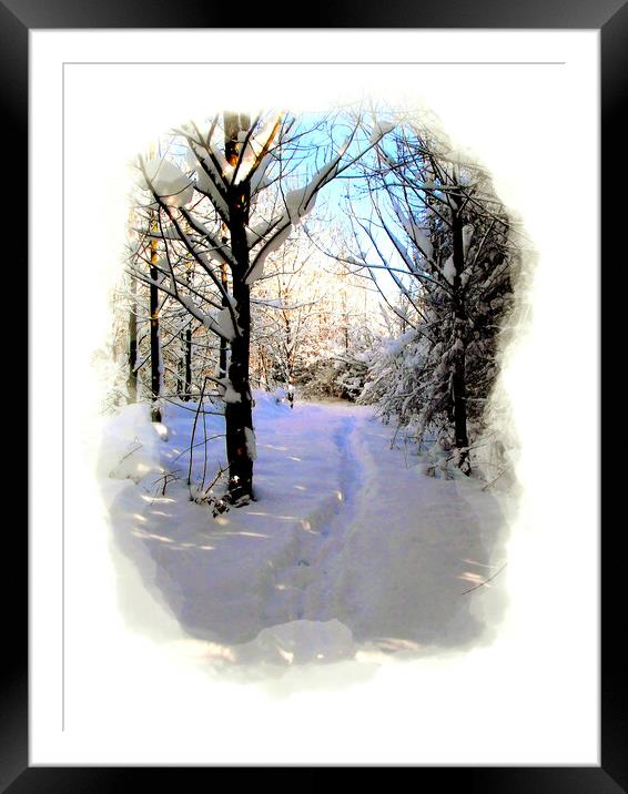 Winter Wonderland in Portrait. Framed Mounted Print by john hill