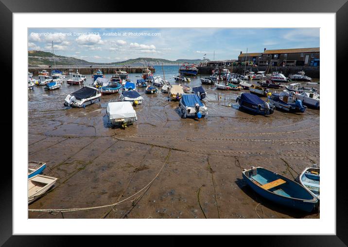 Lyme Regis Harbour Framed Mounted Print by Derek Daniel