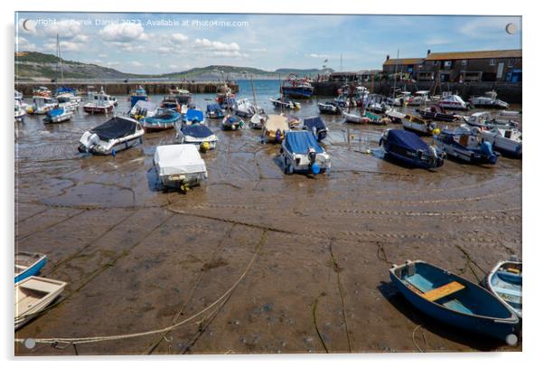 Lyme Regis Harbour Acrylic by Derek Daniel