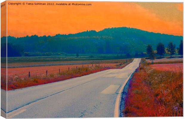 Rural Road at Summer Dawn Canvas Print by Taina Sohlman