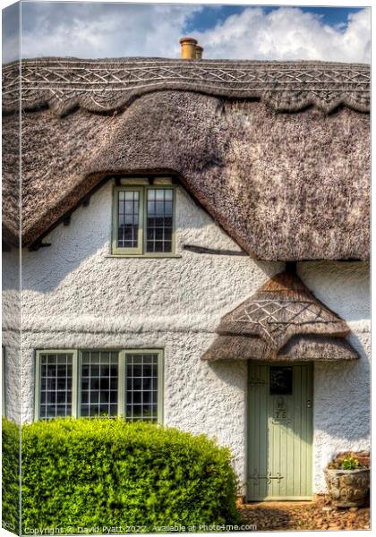 Thatched Cottage Detail Canvas Print by David Pyatt