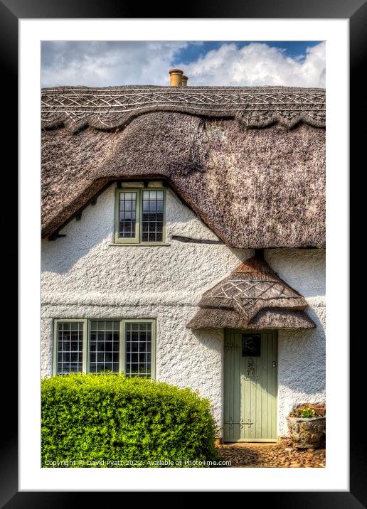 Thatched Cottage Detail Framed Mounted Print by David Pyatt