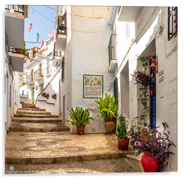 Frigiliana Street Acrylic by David Bradbury