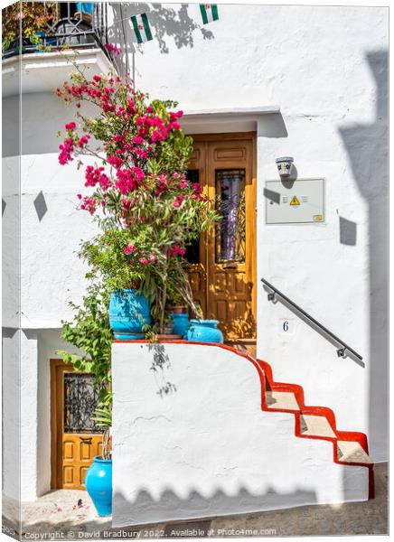 Frigiliana Door Canvas Print by David Bradbury