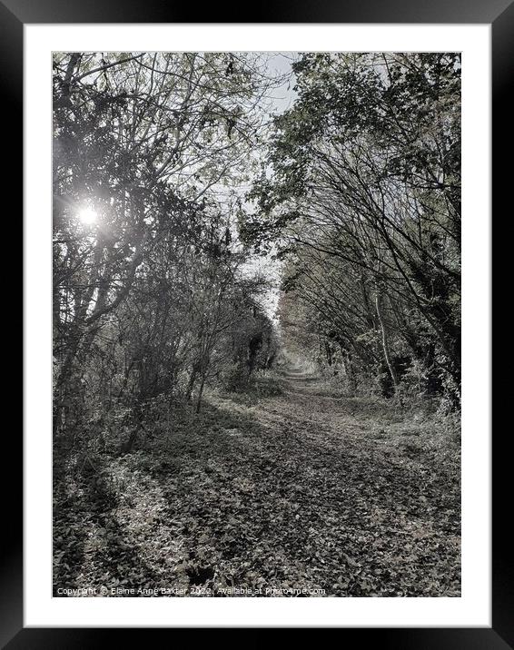 Autumn Trail Path on Great Central Walk Framed Mounted Print by Elaine Anne Baxter