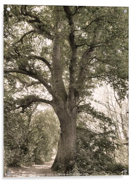 Forest Oak Tree Acrylic by Elaine Anne Baxter
