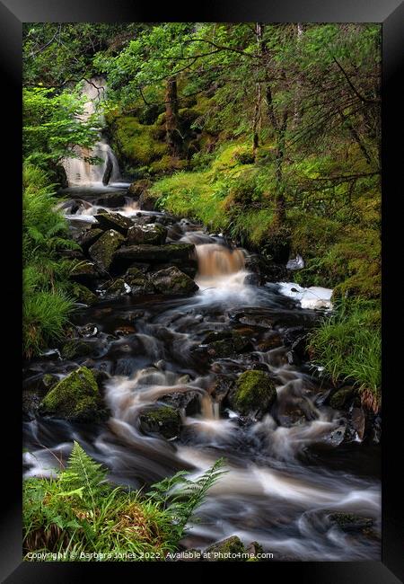 Highland Burn Woodland Waterfall Scotland Framed Print by Barbara Jones