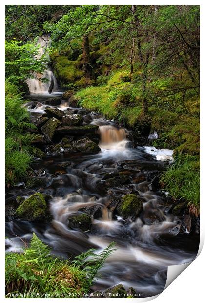 Highland Burn Woodland Waterfall Scotland Print by Barbara Jones