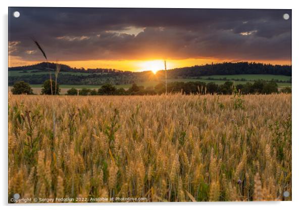 Rye field at sunset. Summer evening landscape. Acrylic by Sergey Fedoskin