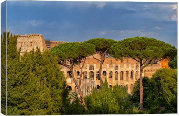 Behind Trees View of Colosseum at Sunset Canvas Print by Artur Bogacki