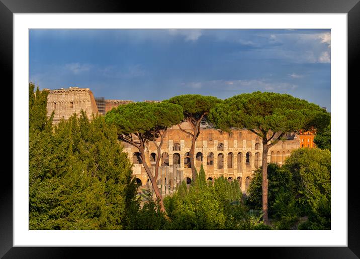 Behind Trees View of Colosseum at Sunset Framed Mounted Print by Artur Bogacki
