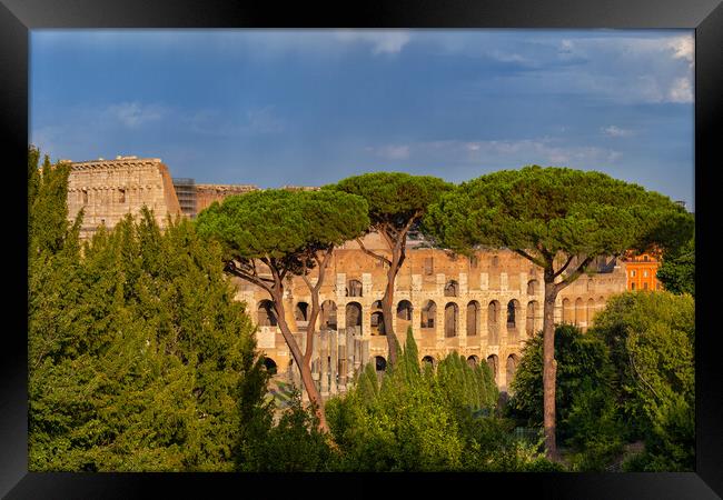 Behind Trees View of Colosseum at Sunset Framed Print by Artur Bogacki