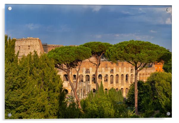 Behind Trees View of Colosseum at Sunset Acrylic by Artur Bogacki