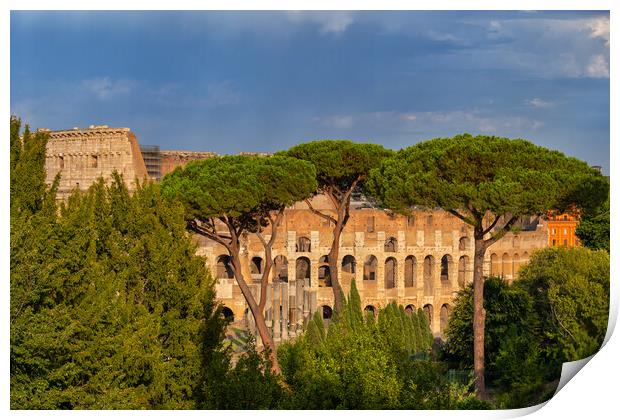 Behind Trees View of Colosseum at Sunset Print by Artur Bogacki