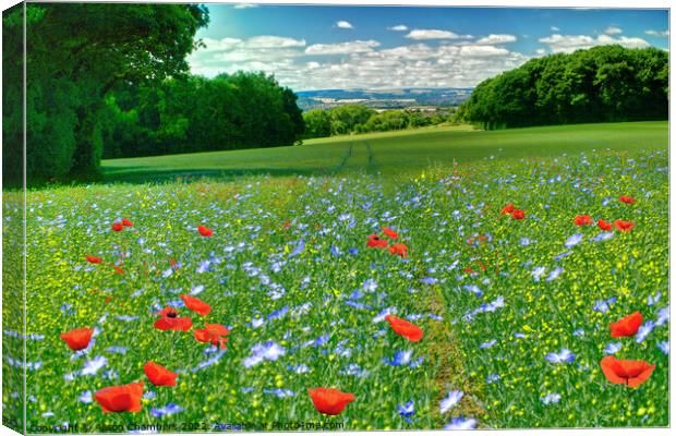 Poppies and Cornflowers Canvas Print by Alison Chambers