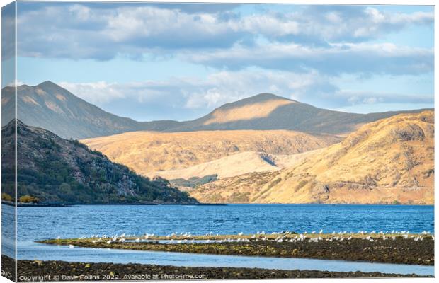 Outdoor Loch Etive at Low tide, Argyll and Bute, Scotland Canvas Print by Dave Collins