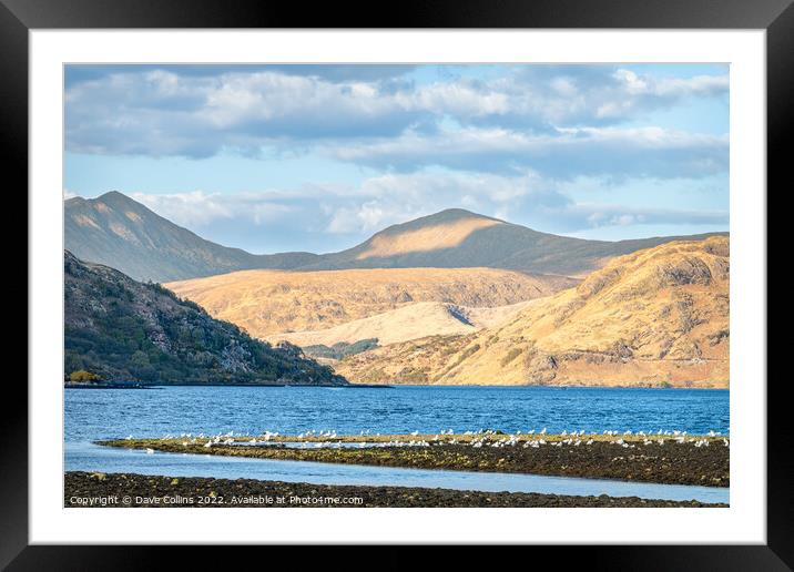 Outdoor Loch Etive at Low tide, Argyll and Bute, Scotland Framed Mounted Print by Dave Collins
