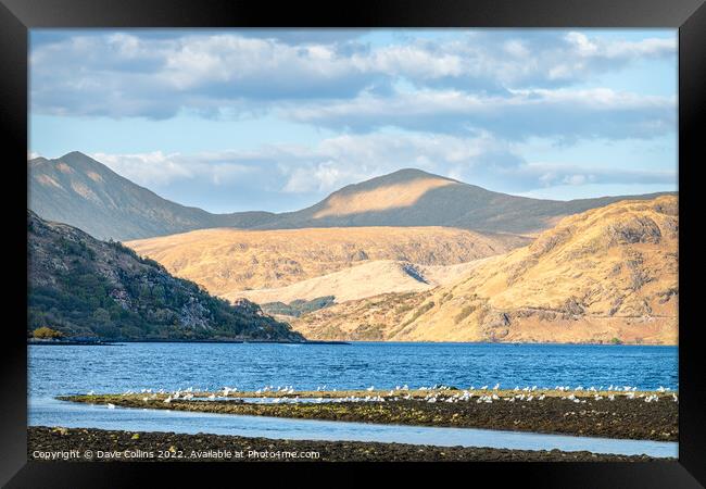 Outdoor Loch Etive at Low tide, Argyll and Bute, Scotland Framed Print by Dave Collins