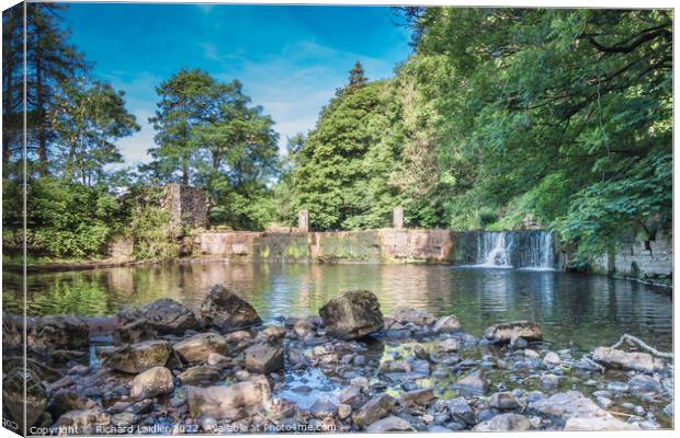 Mill Force, Bowes Canvas Print by Richard Laidler