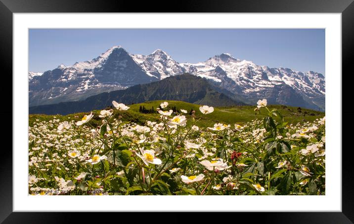 Majestic Swiss Alps Framed Mounted Print by Richard North
