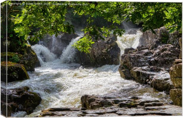 Outdoor water Canvas Print by David Smith