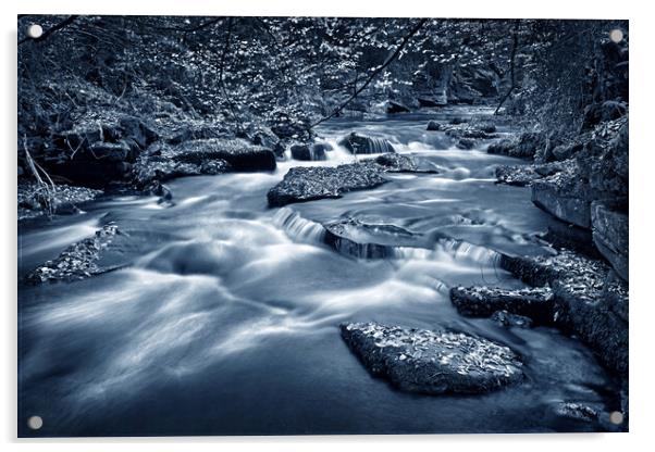 River Rivelin Acrylic by Darren Galpin