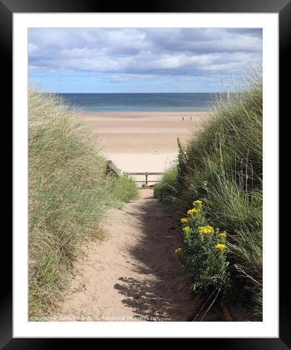 Sandy Beach Path Framed Mounted Print by Sandra Day