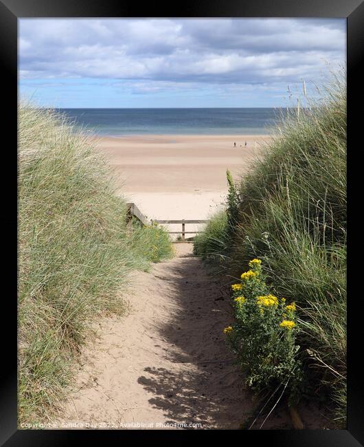 Sandy Beach Path Framed Print by Sandra Day
