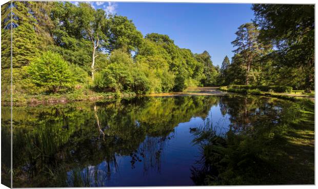 Craig y Nos Country park reflections Canvas Print by Leighton Collins