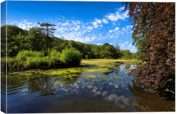 Craig y Nos Country park lake Canvas Print by Leighton Collins