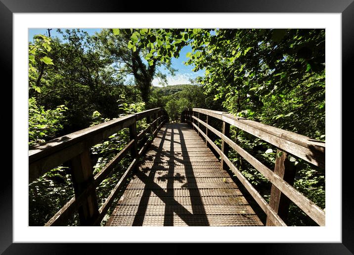 A wooden footbridge Framed Mounted Print by Leighton Collins