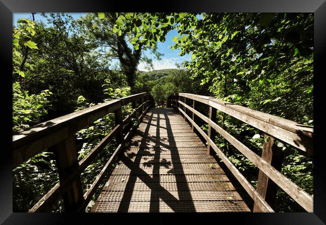 A wooden footbridge Framed Print by Leighton Collins