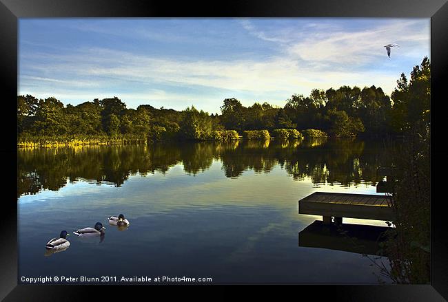 Lake @ Arrow Valley Country Park Redditch Framed Print by Peter Blunn