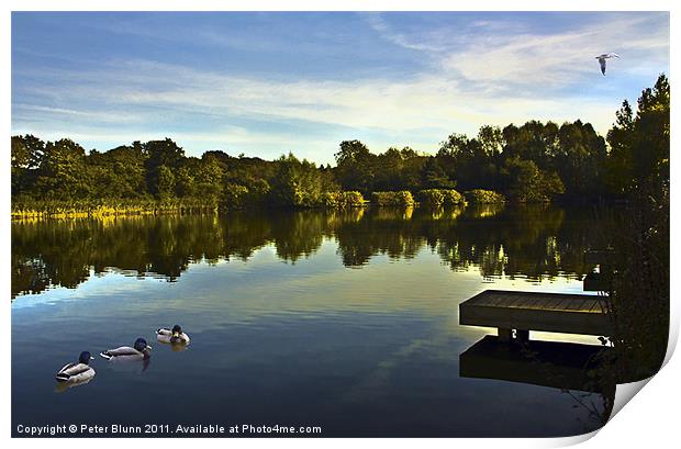Lake @ Arrow Valley Country Park Redditch Print by Peter Blunn