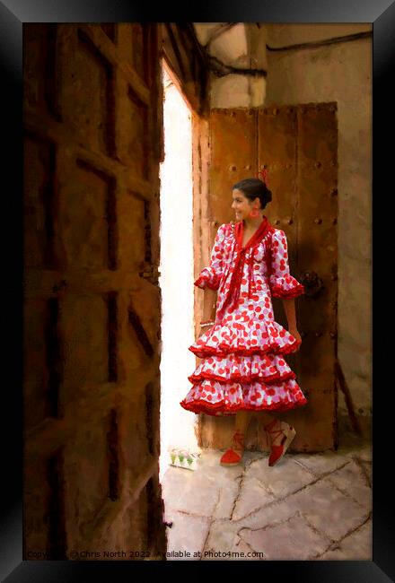 Girl in a red dress waiting. Framed Print by Chris North