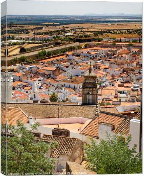 Elvas view Canvas Print by Dudley Wood