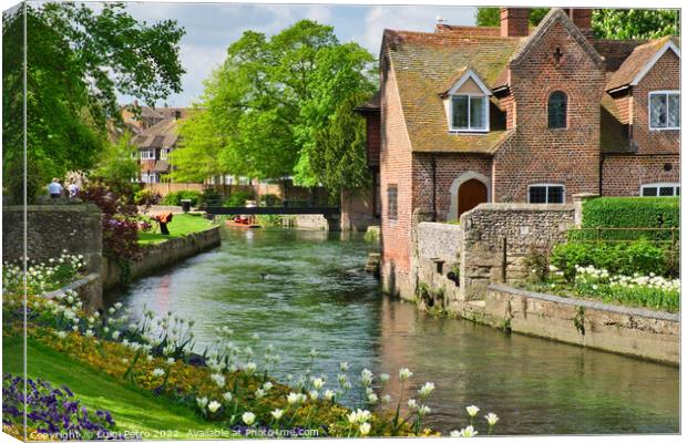 Great Stour river in Westgate Gardens, Canterbury, Canvas Print by Luigi Petro