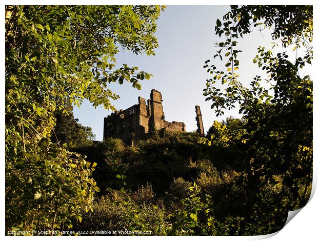 Enchanting Castle Ruins Print by Stephen Hamer