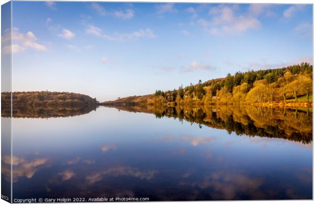 Reflections of Burrator Canvas Print by Gary Holpin