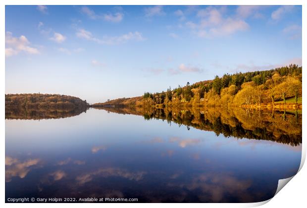 Reflections of Burrator Print by Gary Holpin