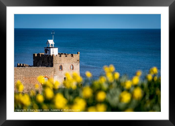 Daffodils at the clocktower Framed Mounted Print by Gary Holpin