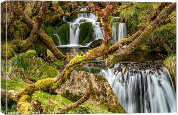 Dartmoor hidden waterfall Canvas Print by Gary Holpin