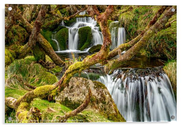 Dartmoor hidden waterfall Acrylic by Gary Holpin
