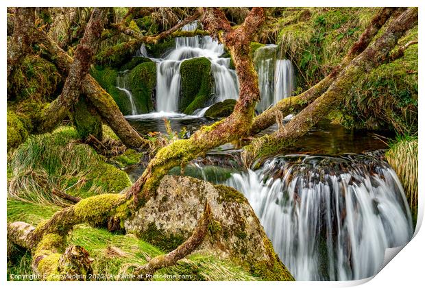 Dartmoor hidden waterfall Print by Gary Holpin