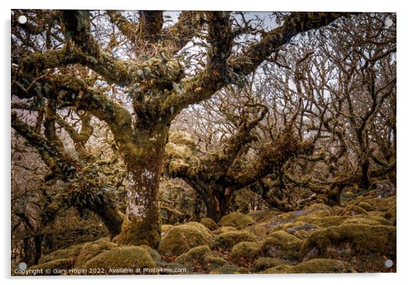 Wistmans wood Dartmoor Acrylic by Gary Holpin