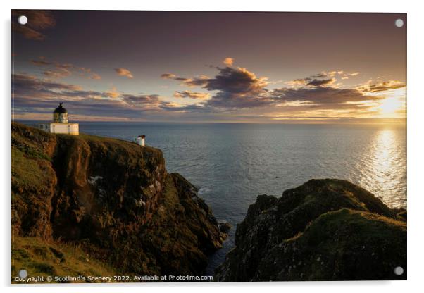 St Abbs head lighthouse at golden hour Acrylic by Scotland's Scenery